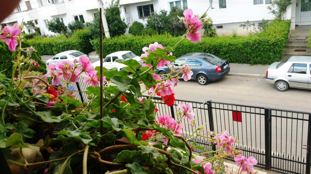 Lucas 38 Apartments Cluj-Napoca Luaran gambar